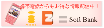 �g�ѓd�b����A�N�Z�X